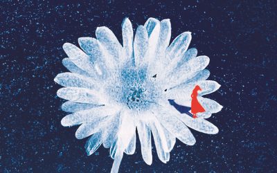 Ausschnitt aus dem Cover von "Nicht tot zu sein ist noch kein Leben" von Lou Bihl: Vor einem blauen Sternenhimmel steht eine weiße Blume. Auf einem der Blütenblätter sieht man eine kleine rote Frauenfigur.