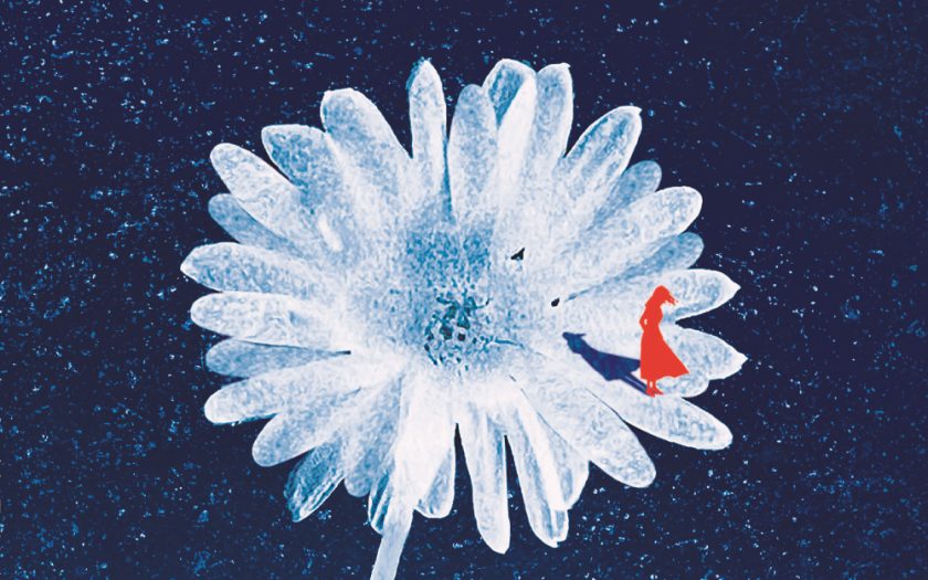 Ausschnitt aus dem Cover von "Nicht tot zu sein ist noch kein Leben" von Lou Bihl: Vor einem blauen Sternenhimmel steht eine weiße Blume. Auf einem der Blütenblätter sieht man eine kleine rote Frauenfigur.
